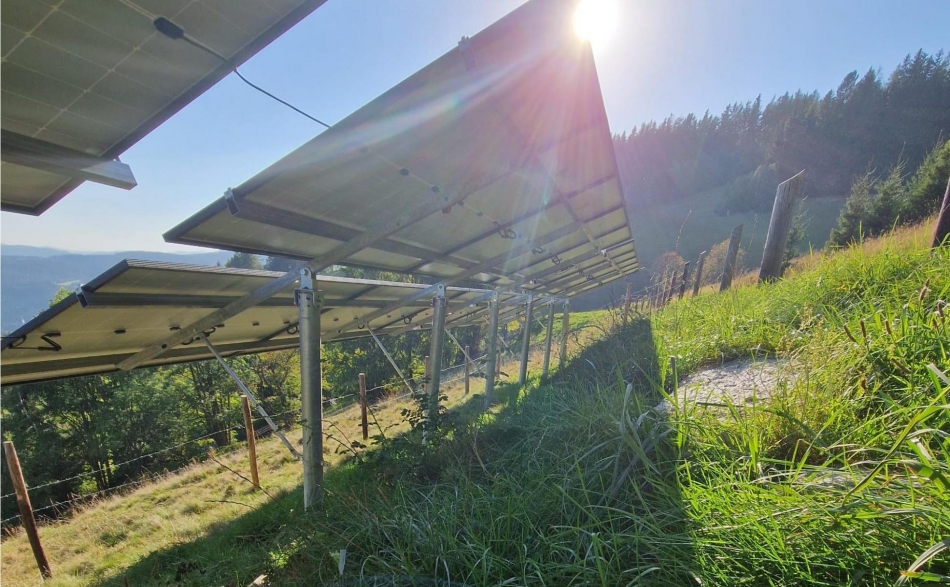 Photovoltaik-Freifläche